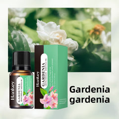 Aromatherapy essential oils leave a lasting fragrance indoors