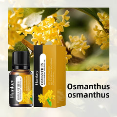Aromatherapy essential oils leave a lasting fragrance indoors